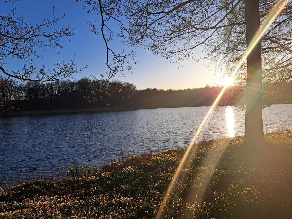Haestveda Vandrarhem Och Stugor Buitenkant foto